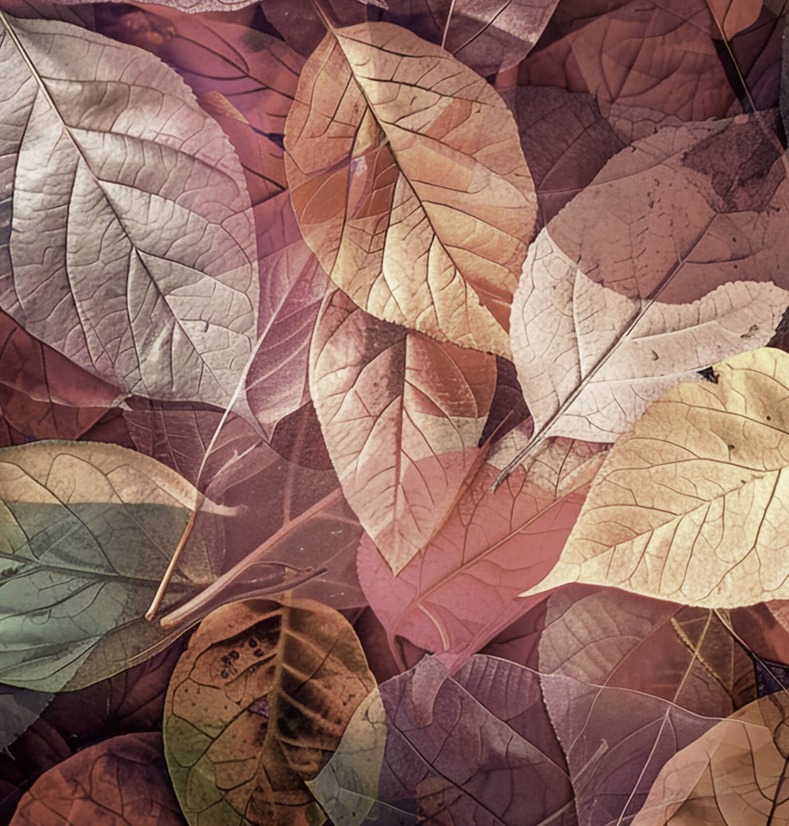 Leaves Background - Vicky Lynn